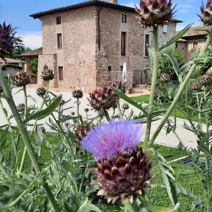 Corte Davini Bauernhof Monzambano