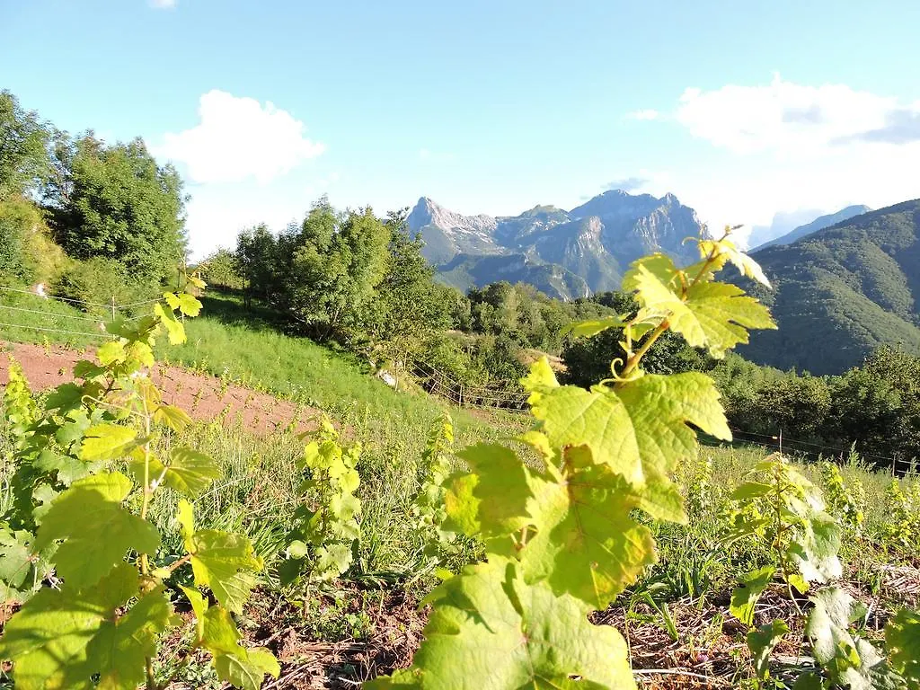 فندق Rifugio Alpi Apuane Careggine 0*,